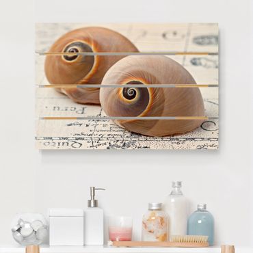 Print on wood - Shell Duo
