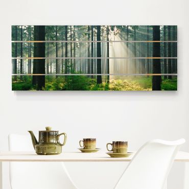 Print on wood - Enlightened Forest