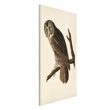 Magnetic memo board - Vintage Board Great Owl
