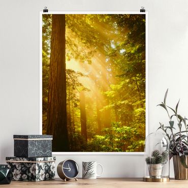 Poster forest - Morning Gold