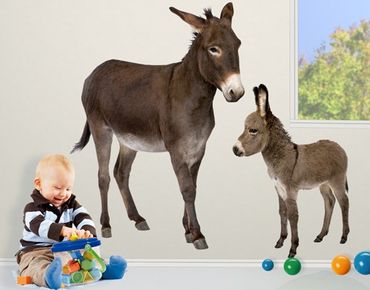 Wall sticker - No.721 The Donkey Family