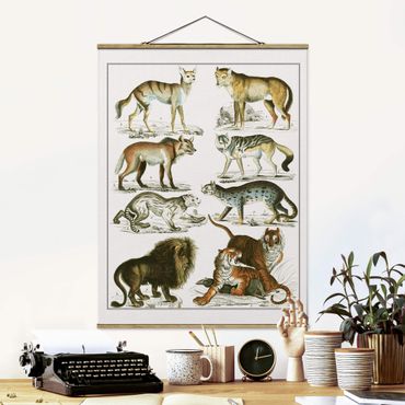 Fabric print with poster hangers - Vintage Board Lion, Tiger And Jackal