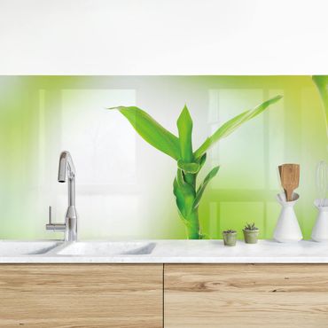 Kitchen wall cladding - Green Bamboo