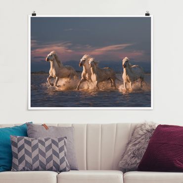 Poster - Wild Horses In Kamargue