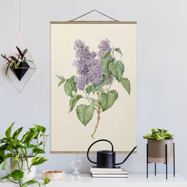 Fabric print with poster hangers - Maria Geertruyd Barber-Snabilie - Lilac