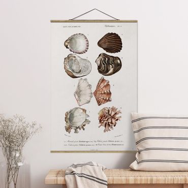 Fabric print with poster hangers - Vintage Board Eight Shells Rose Cream