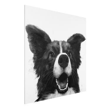 Print on forex - Illustration Dog Border Collie Black And White Painting