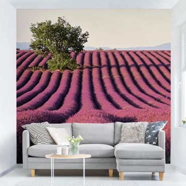 Adhesive wallpaper - Lavender