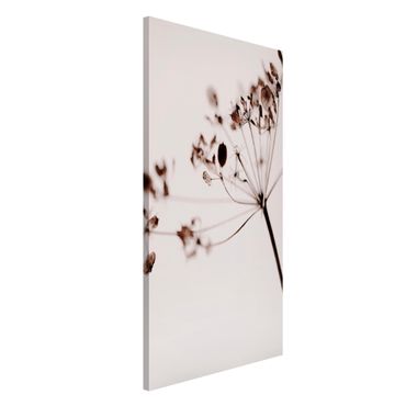 Magnetic memo board - Macro Image Dried Flowers In Shadow