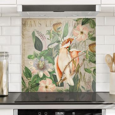 Glass Splashback - Colonial Style Collage - Galah - Square 1:1