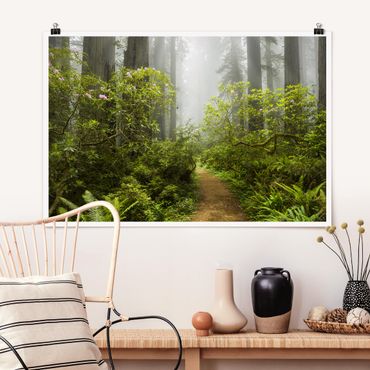 Poster - Misty Forest Path