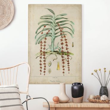 Print on canvas - Vintage Board Exotic Palms IV