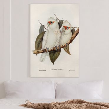 Print on canvas - Vintage Illustration White Cockatoo