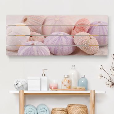 Print on wood - Sea Urchin In Pastel