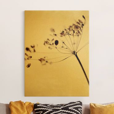 Canvas print gold - Macro Image Dried Flowers In Shadow