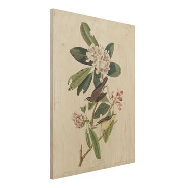 Print on wood - Vintage Board Warbler