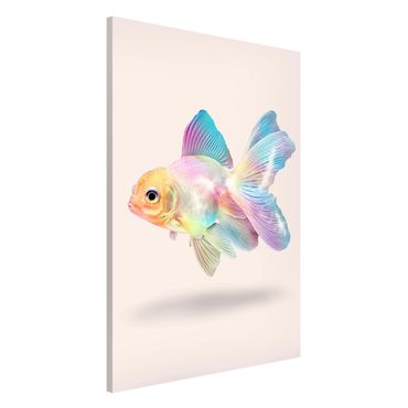 Magnetic memo board - Fish In Pastel