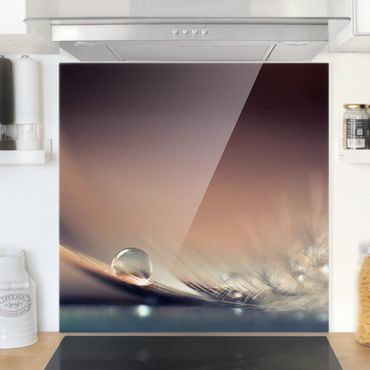 Glass Splashback - Story Of A Water Drop - Square 1:1
