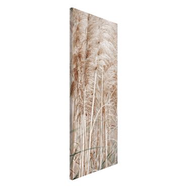 Magnetic memo board - Warm Pampas Grass In Summer