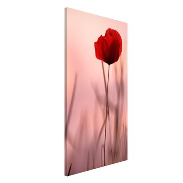 Magnetic memo board - Poppy Flower In Twilight