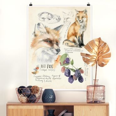 Poster flowers - Wilderness Journal - Fox