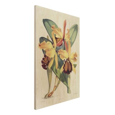 Print on wood - Walter Hood Fitch - Orchid