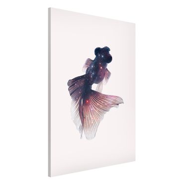 Magnetic memo board - Fish With Galaxy