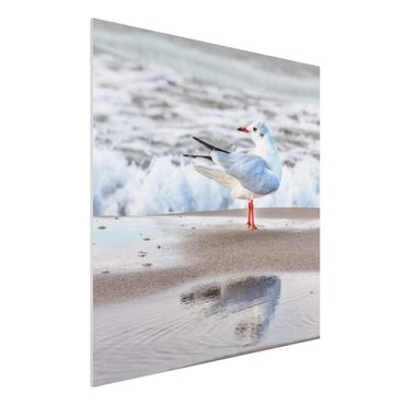Print on forex - Seagull On The Beach In Front Of The Sea