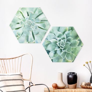 Forex hexagon - Succulent Watercolour Set I