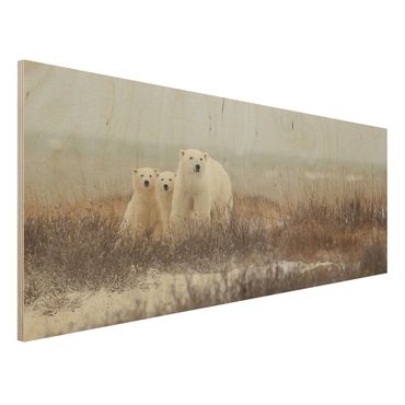 Wood print - Polar Bear And Her Cubs