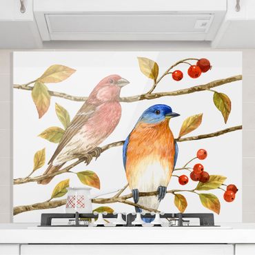 Glass Splashback - Birds And Berries - Bluebird - Landscape 3:4