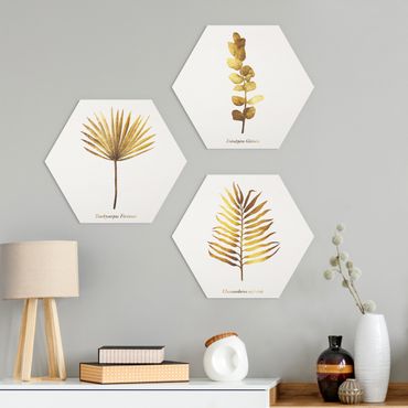 Forex hexagon - Gold - Tropical Leaves Set I