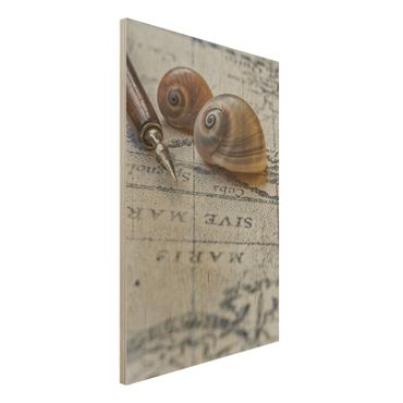 Print on wood - Shells And Filler Vintage