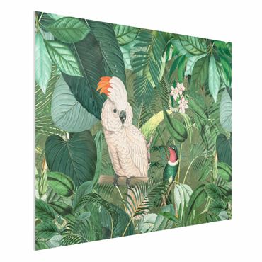 Print on forex - Vintage Collage - Kakadu And Hummingbird