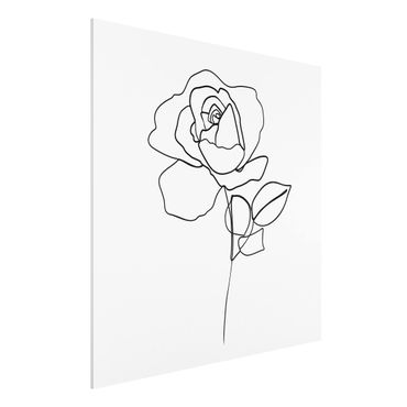 Print on forex - Line Art Rose Black White