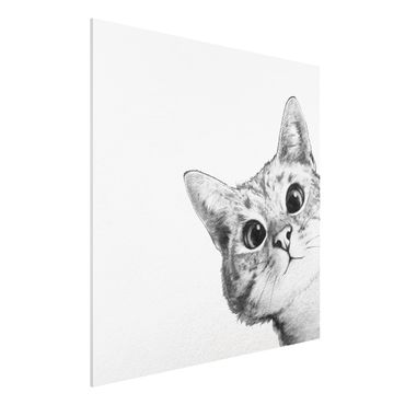 Print on forex - Illustration Cat Drawing Black And White