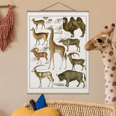 Fabric print with poster hangers - Vintage Board Giraffe, Camel And IIama
