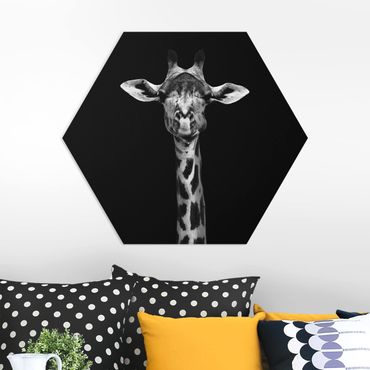 Forex hexagon - Dark Giraffe Portrait