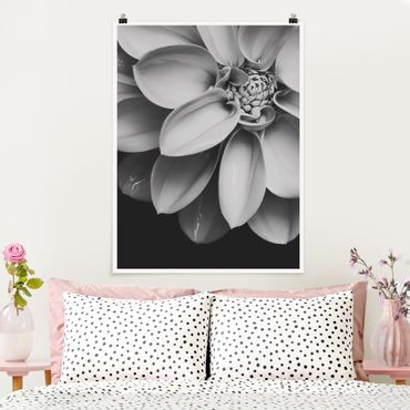 Poster - In The Heart Of A Dahlia Black And White