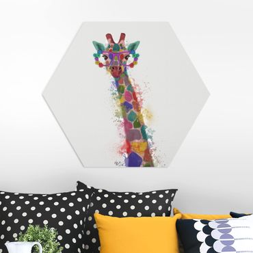 Forex hexagon - Rainbow Splash Giraffe