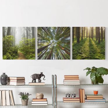Print on canvas 3 parts - Forest Trio