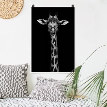 Poster animals - Dark Giraffe Portrait