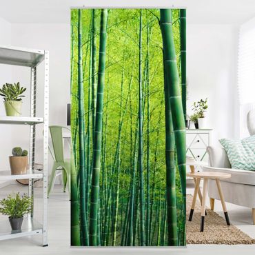 Room divider - Bamboo Forest
