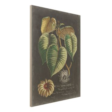 Print on wood - Vintage Royales Foliage On Black I