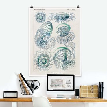 Poster - Vintage Board Jellyfish In Blue