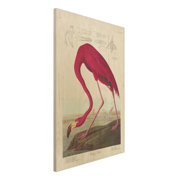 Print on wood - Vintage Board American Flamingo