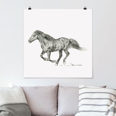 Poster - Wild Horse Trial - Mare
