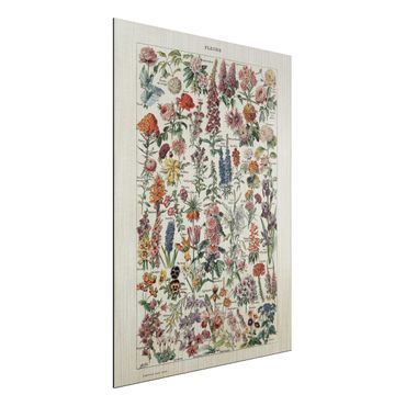Print on aluminium - Vintage Board Flowers V