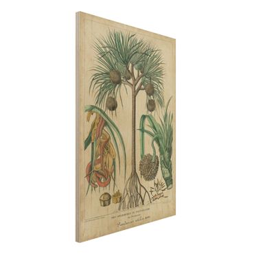 Print on wood - Vintage Board Exotic Palms I