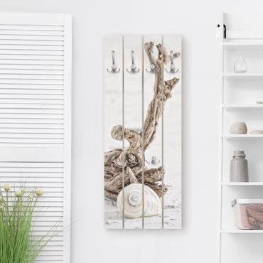 Coat rack - White Snail Shell And Root Wood